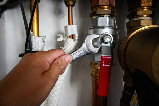 Best Emergency Plumber  in Ridgely, MD